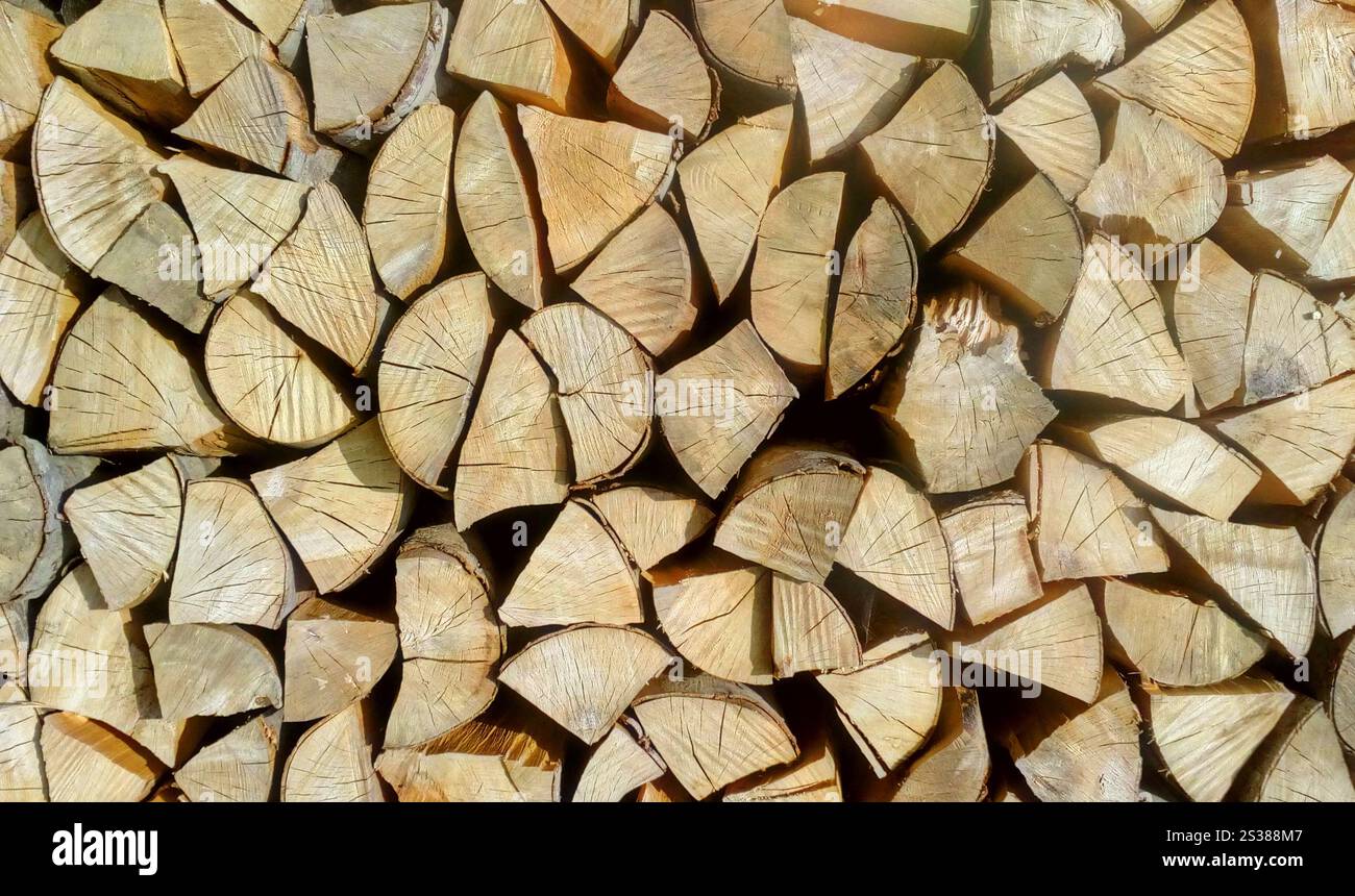 Tronchi di legno di consistenza complicata vita del villaggio Foto Stock