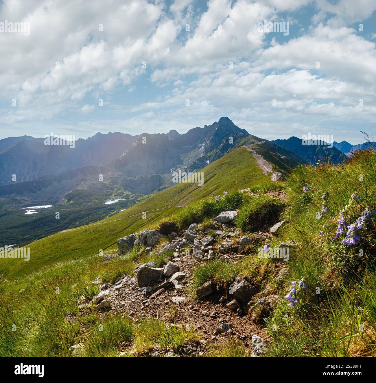 Dei monti Tatra, Polonia, vista a valle Gasienicowa, gruppo di laghi glaciali e monte Swinica Foto Stock