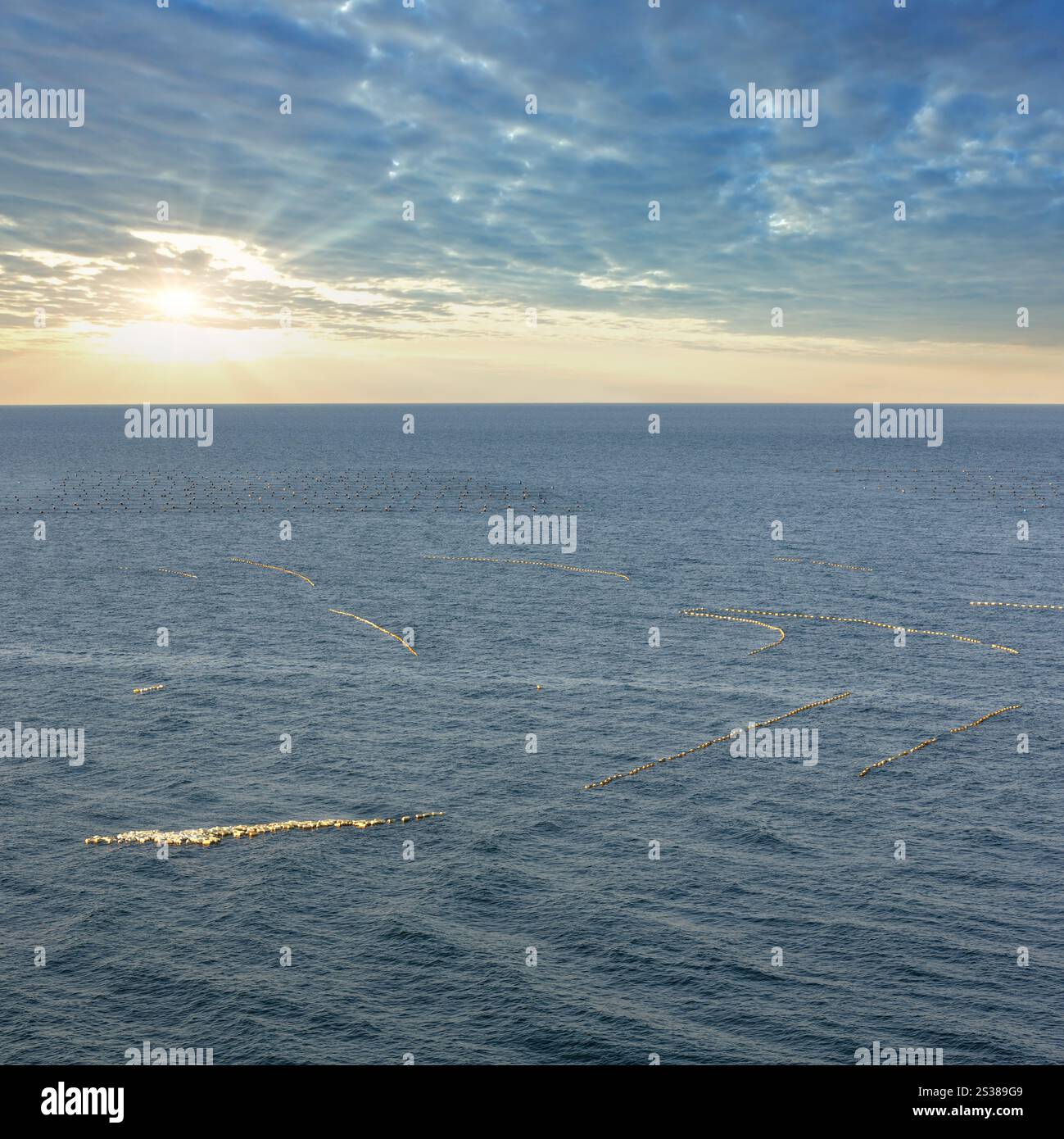 Boe di dragnet sul mare blu della superficie dell'acqua. Foto Stock