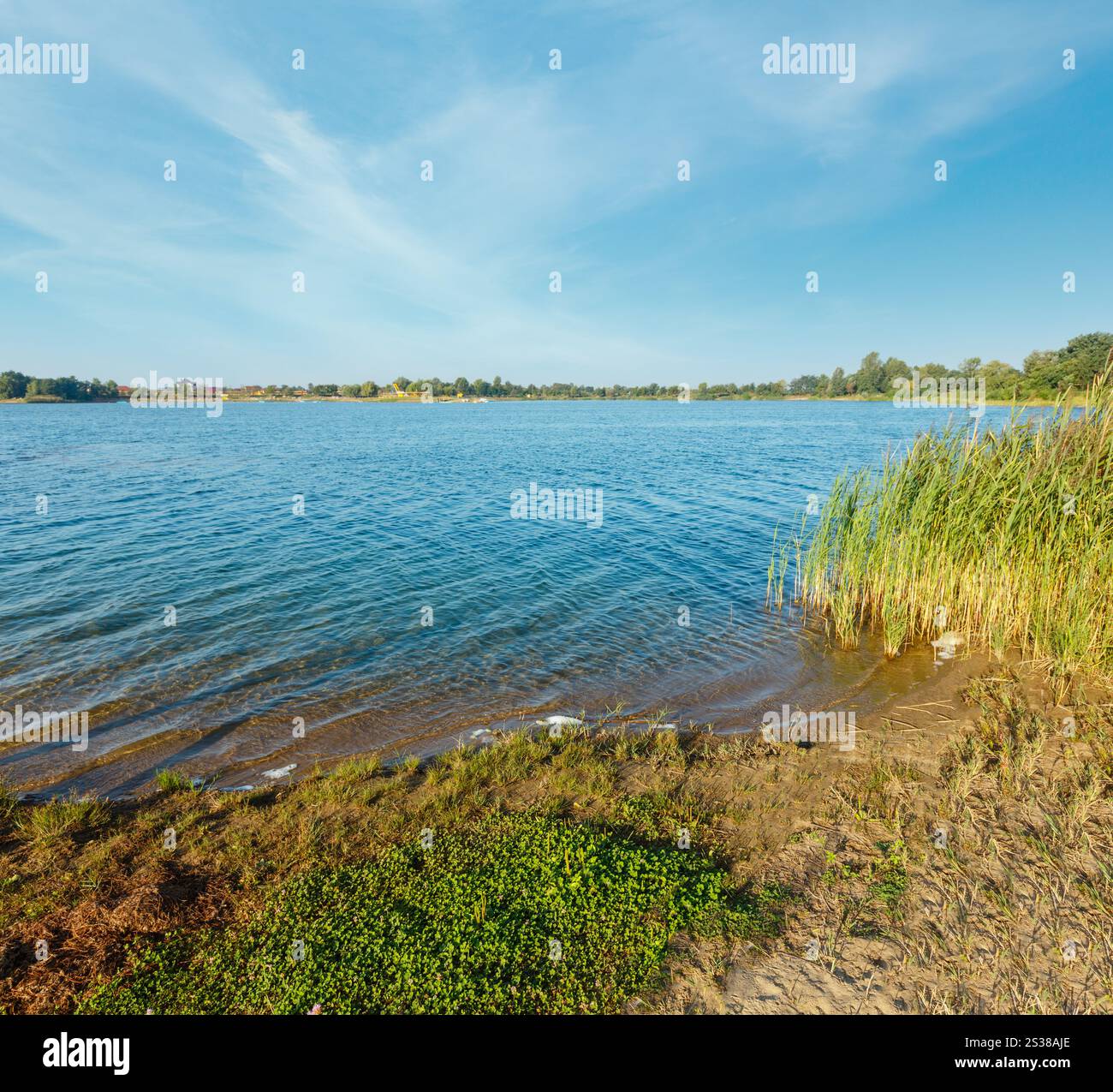 Il pittoresco lago di estate calma rushy shore. Concetto della tranquilla vita di paese, eco-turismo, camping, pesca. Foto Stock