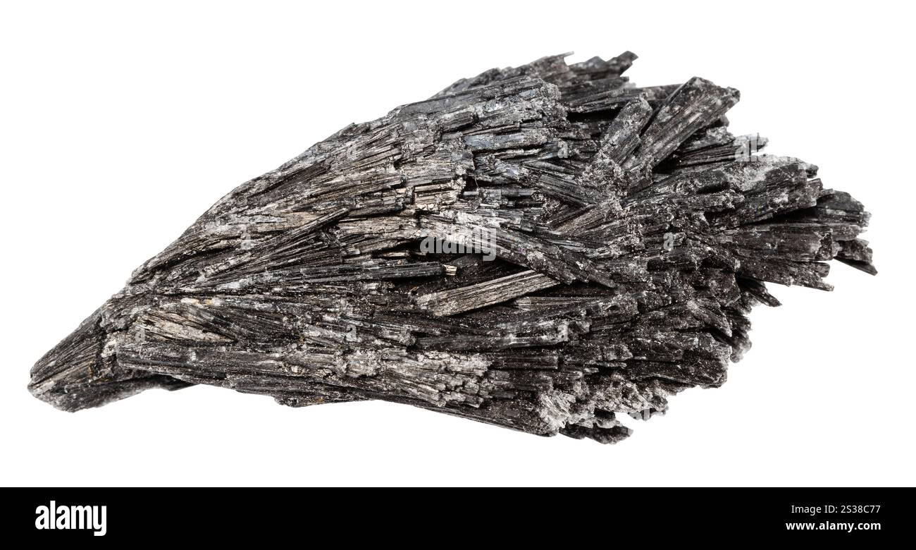 primo piano di un campione di pietra naturale proveniente dalla collezione geologica - minerale di kyanite nera non lucidato isolato su sfondo bianco Foto Stock
