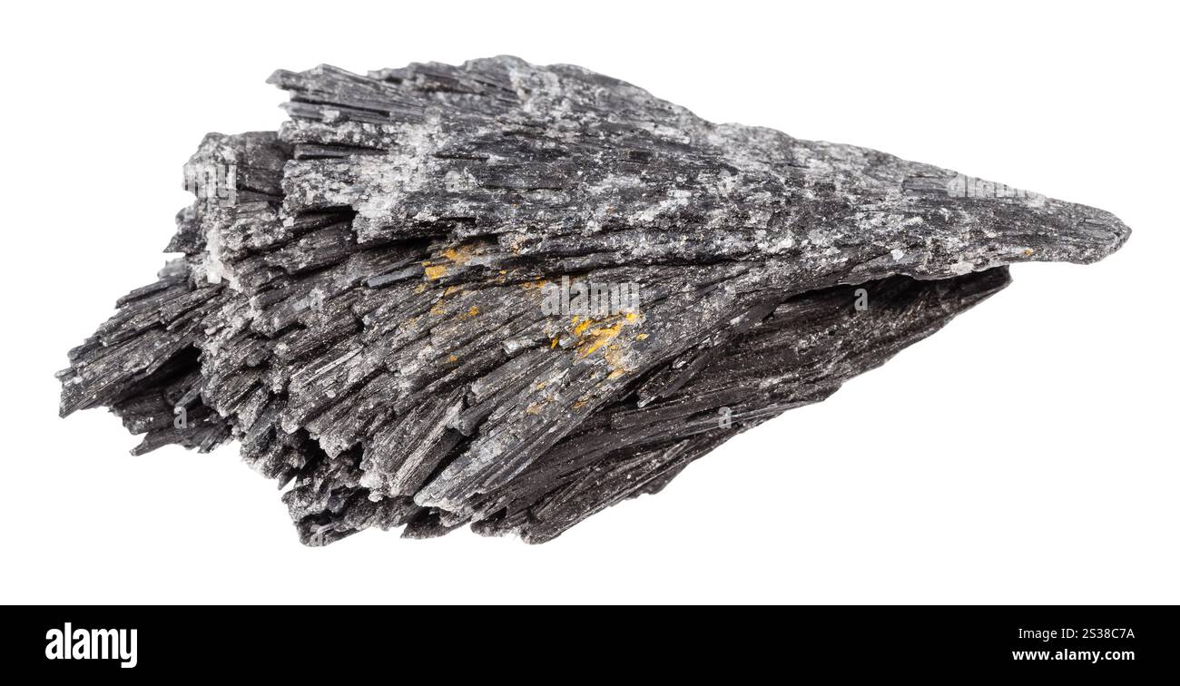 primo piano di un campione di pietra naturale proveniente dalla raccolta geologica - minerale grezzo di kyanite nera isolato su sfondo bianco Foto Stock