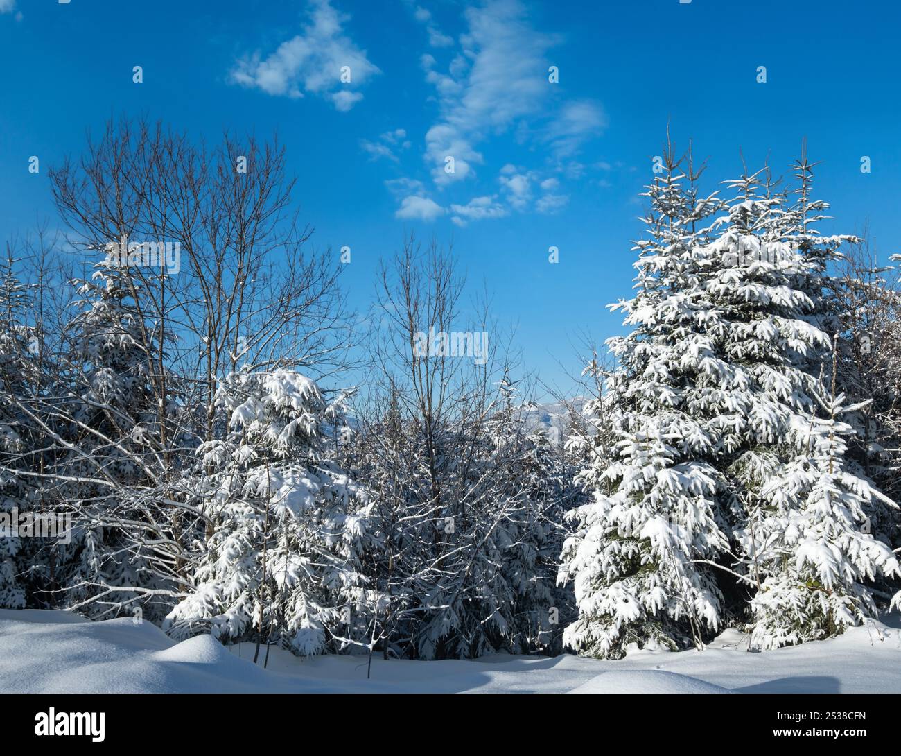 Pittoresca vista invernale delle montagne dal passo Yablunytsia, Carpazi, Ucraina. Foto Stock