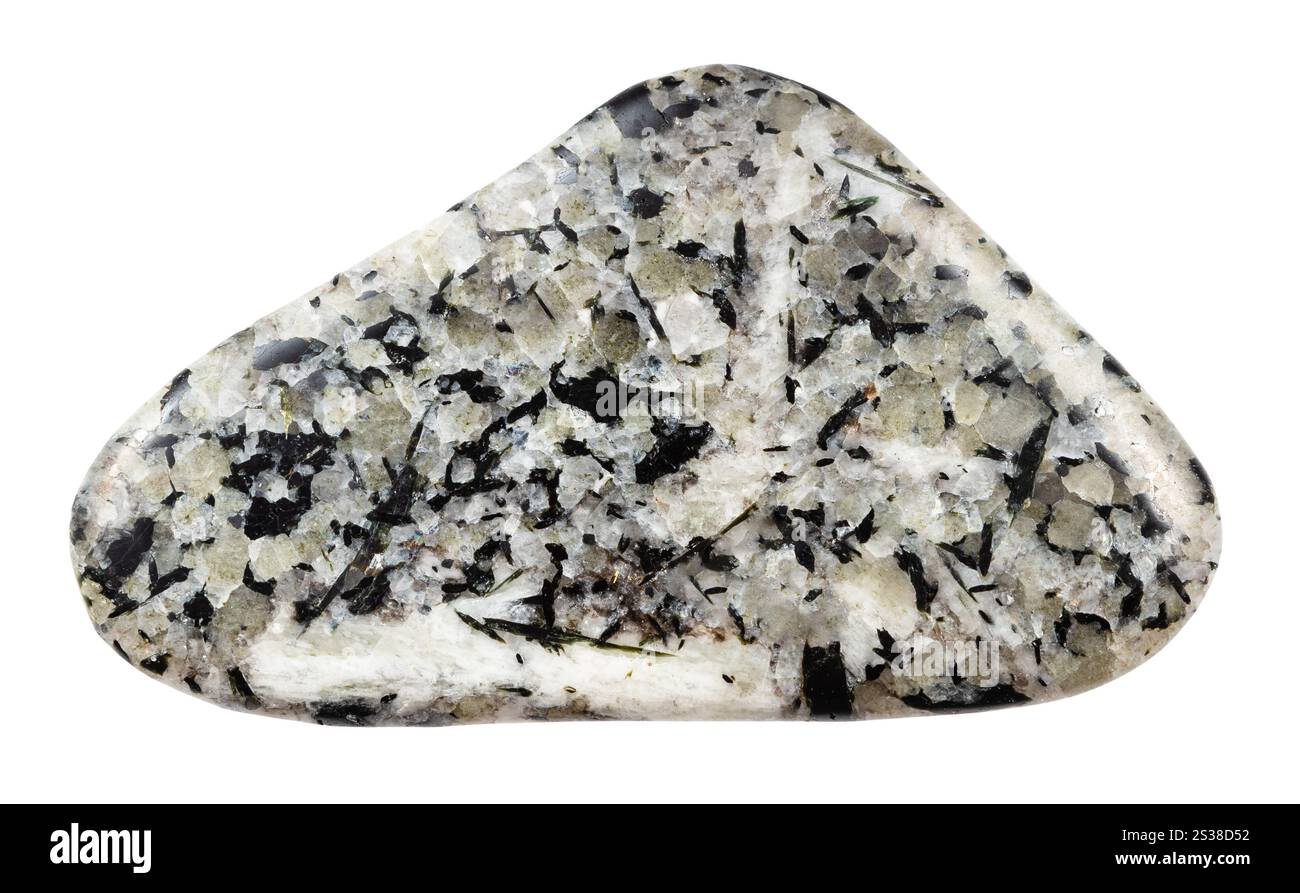 Primo piano di un campione di pietra naturale proveniente dalla raccolta geologica - minerale di foyaite tumulato isolato su sfondo bianco dalla penisola di Kola Foto Stock