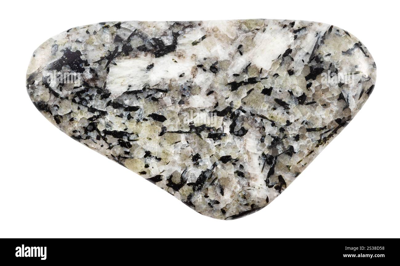 Primo piano di un campione di pietra naturale proveniente dalla collezione geologica - minerale di foyaite lucidato isolato su sfondo bianco dalla penisola di Kola Foto Stock