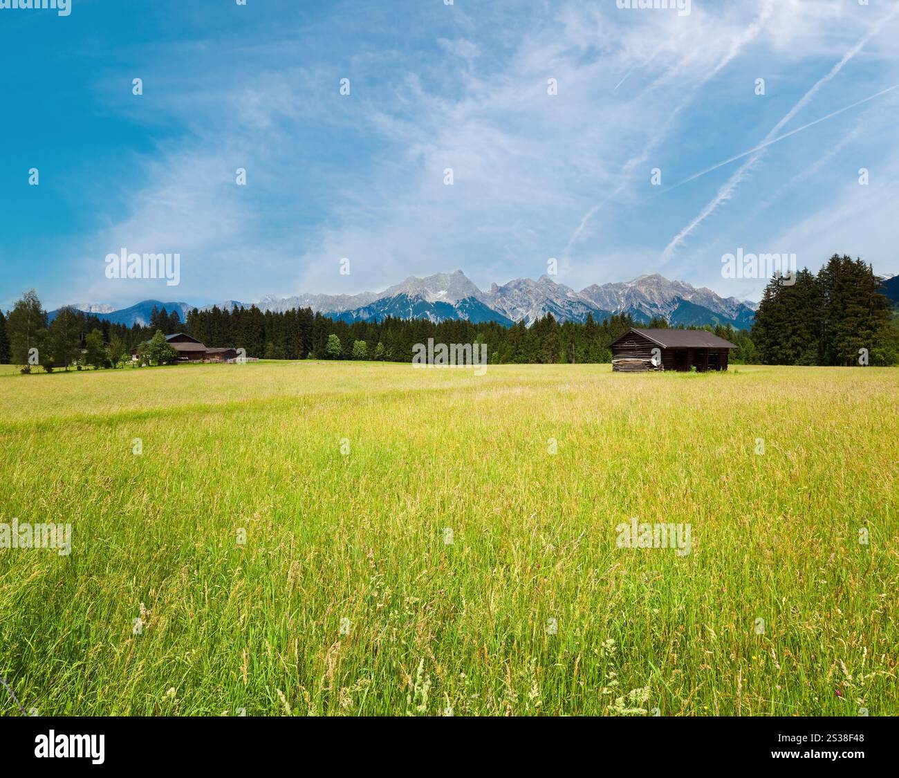 Alpi prato di montagna tranquilla Vista estiva con casa in legno e capannone (Austria, Gosau periferia del paese). immagine. Foto Stock