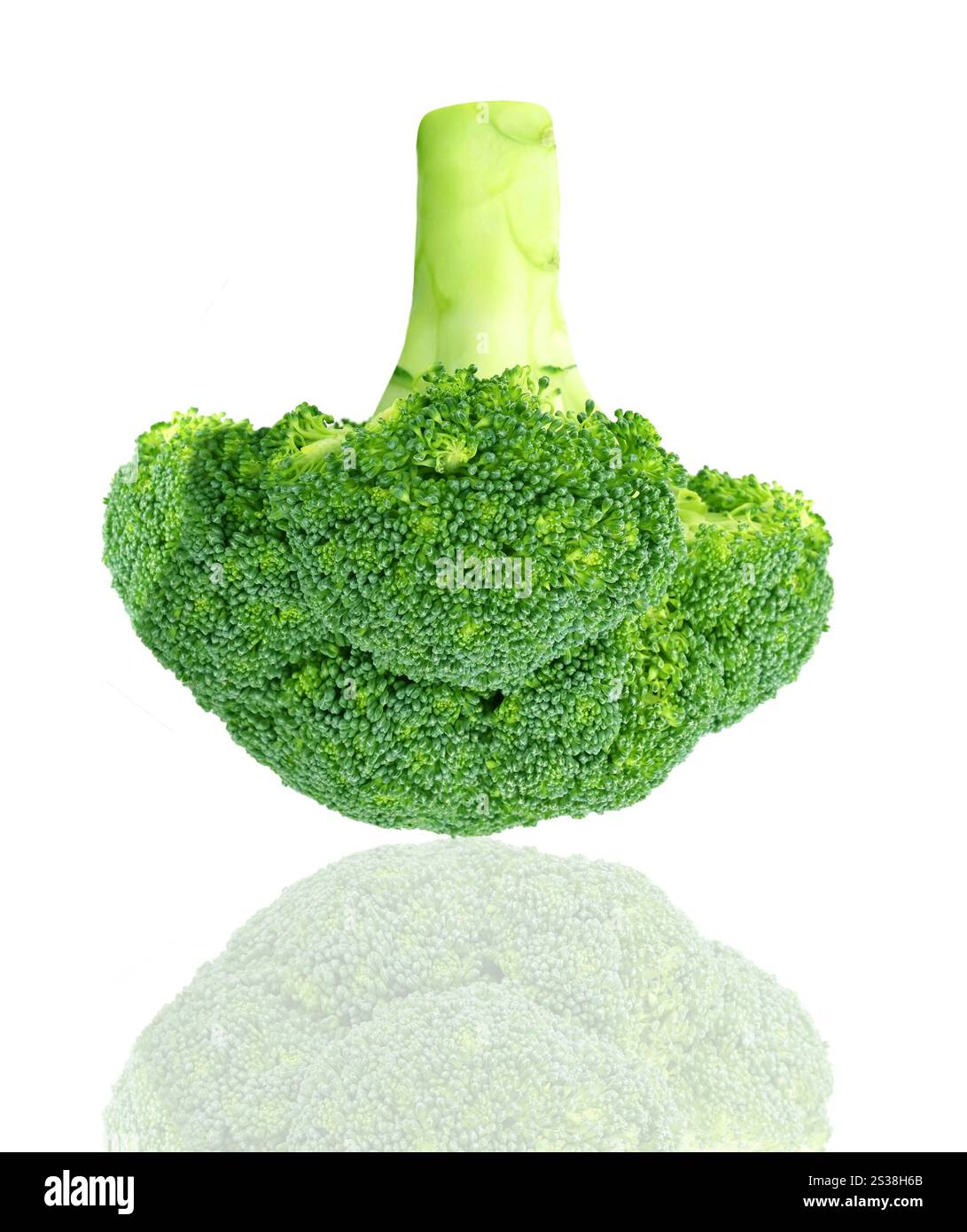Broccoli crudi freschi isolati su sfondo bianco. Broccoli crudi freschi isolati su bianco Foto Stock