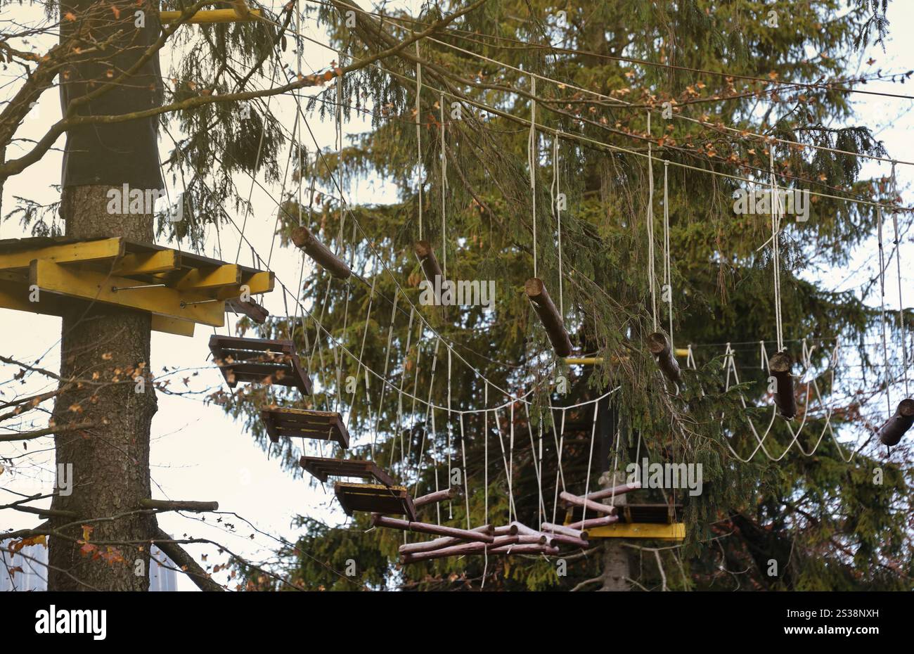 Ponte di corda nel parco avventura sulle cime degli alberi per arrampicate sugli alberi e sport, corsi di arborismo o di corde di accrobranche, parco all'aperto con telefili nella foresta. Foto Stock