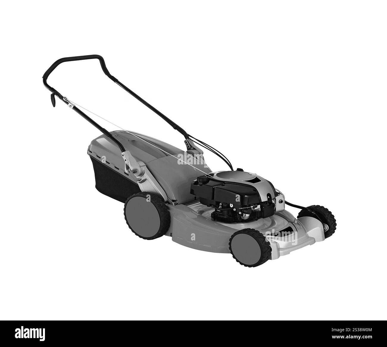 Rasaerba isolato su sfondo bianco. Rasaerba isolato Foto Stock