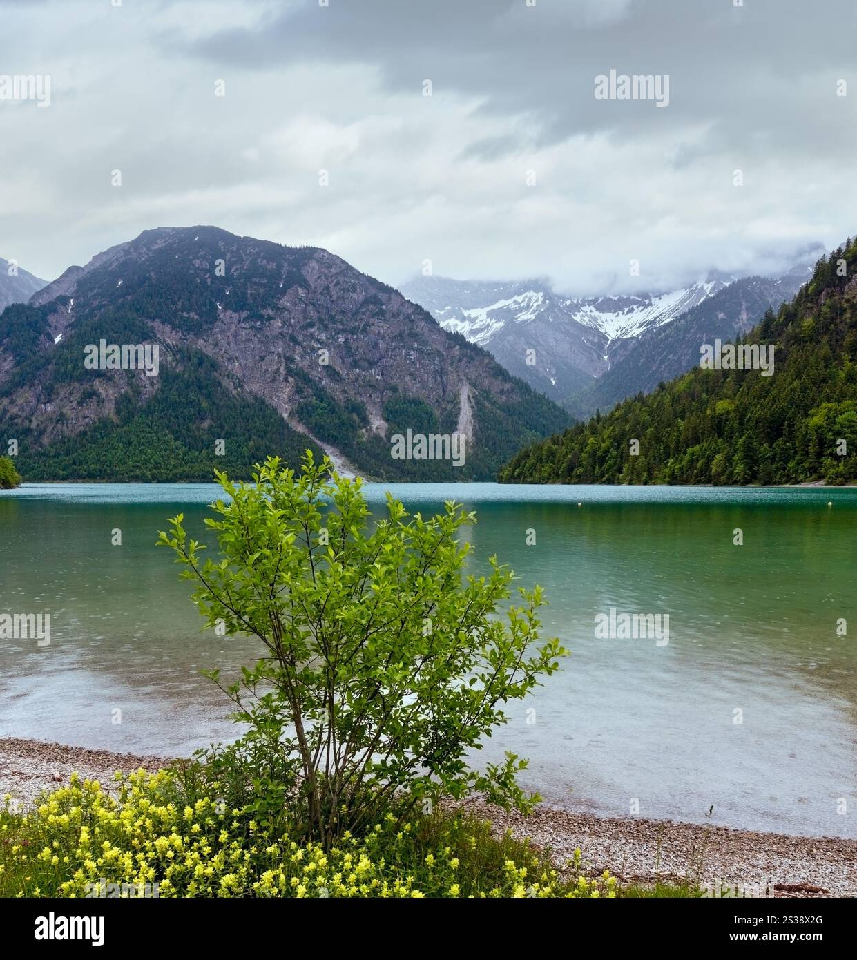 Plansee estate paesaggio con neve sul versante della montagna e fiori nella parte anteriore . Nuvoloso Giorno. (Austria). Foto Stock