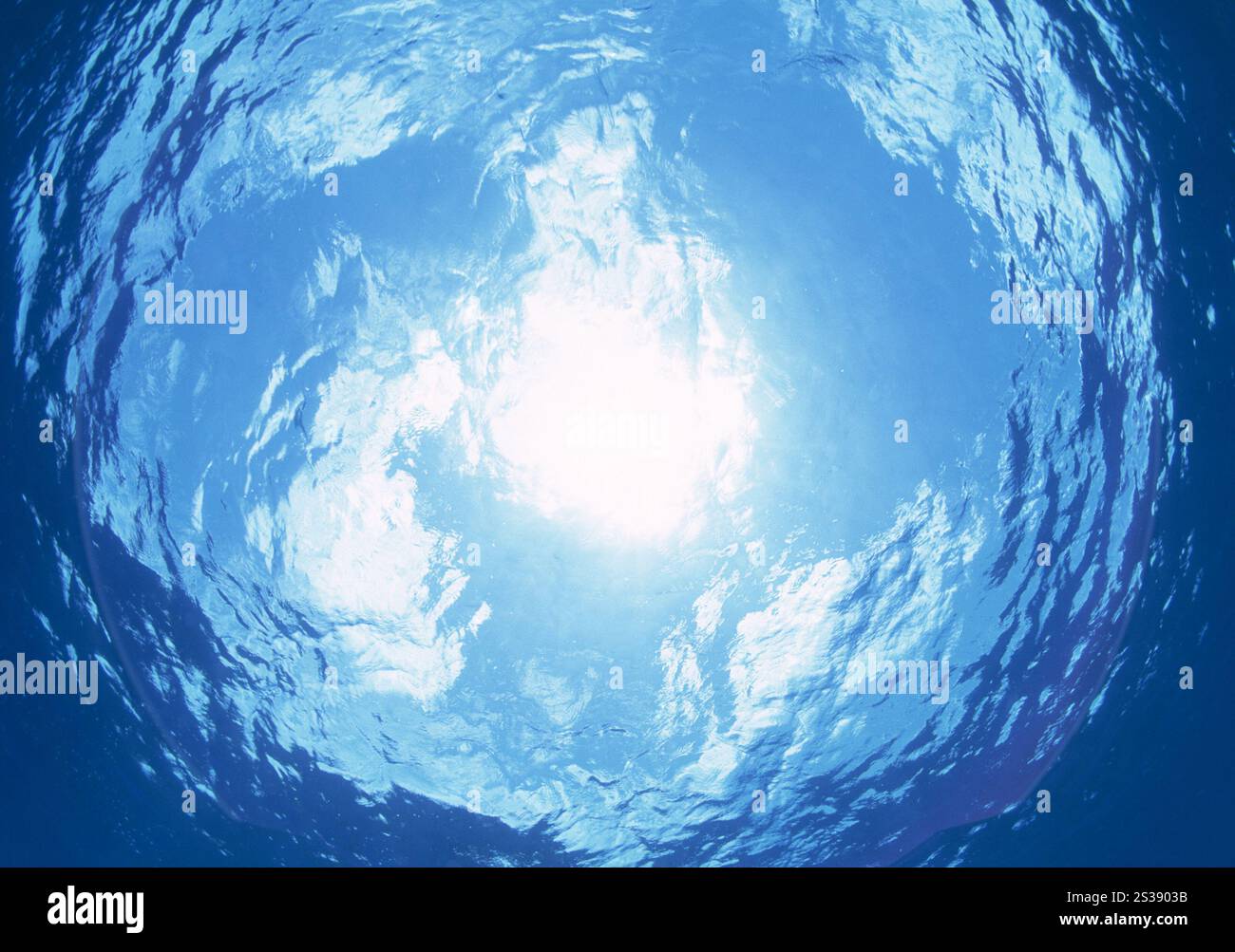 Ambiente subacqueo tranquillo e sereno con raggi solari che filtrano attraverso la superficie dell'acqua blu. La luce del sole penetra nella superficie oceanica Foto Stock