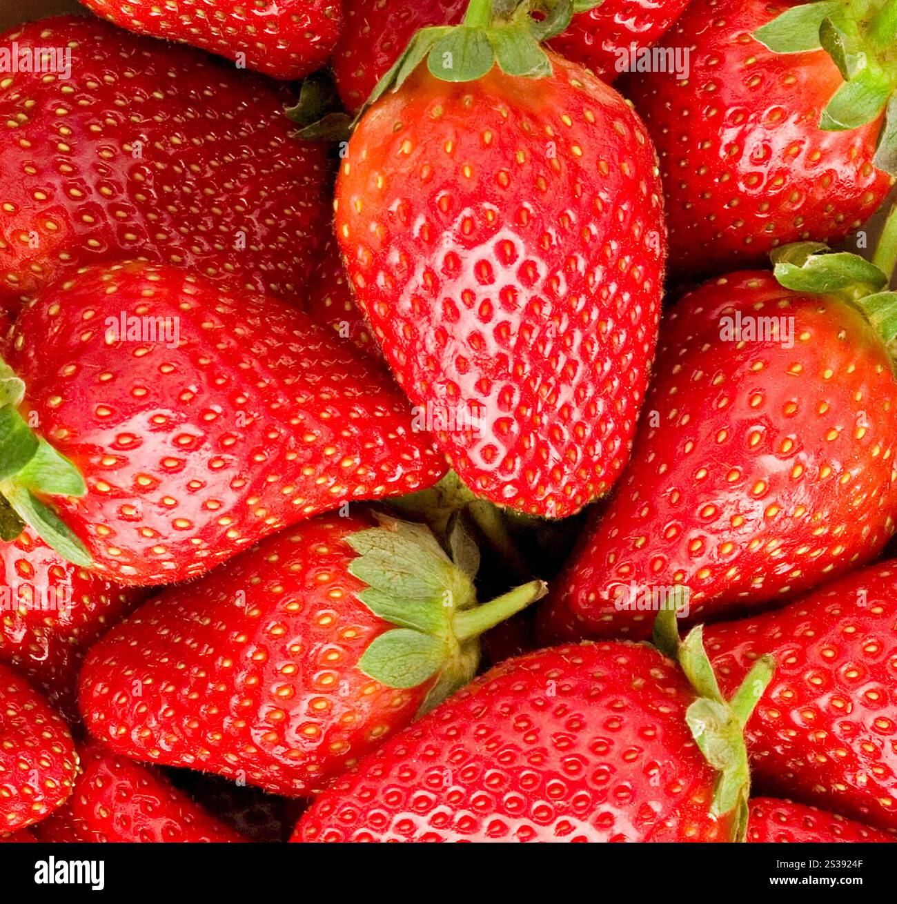 fragola fresca, primo piano con consistenza. fragola fresca, primo piano Foto Stock