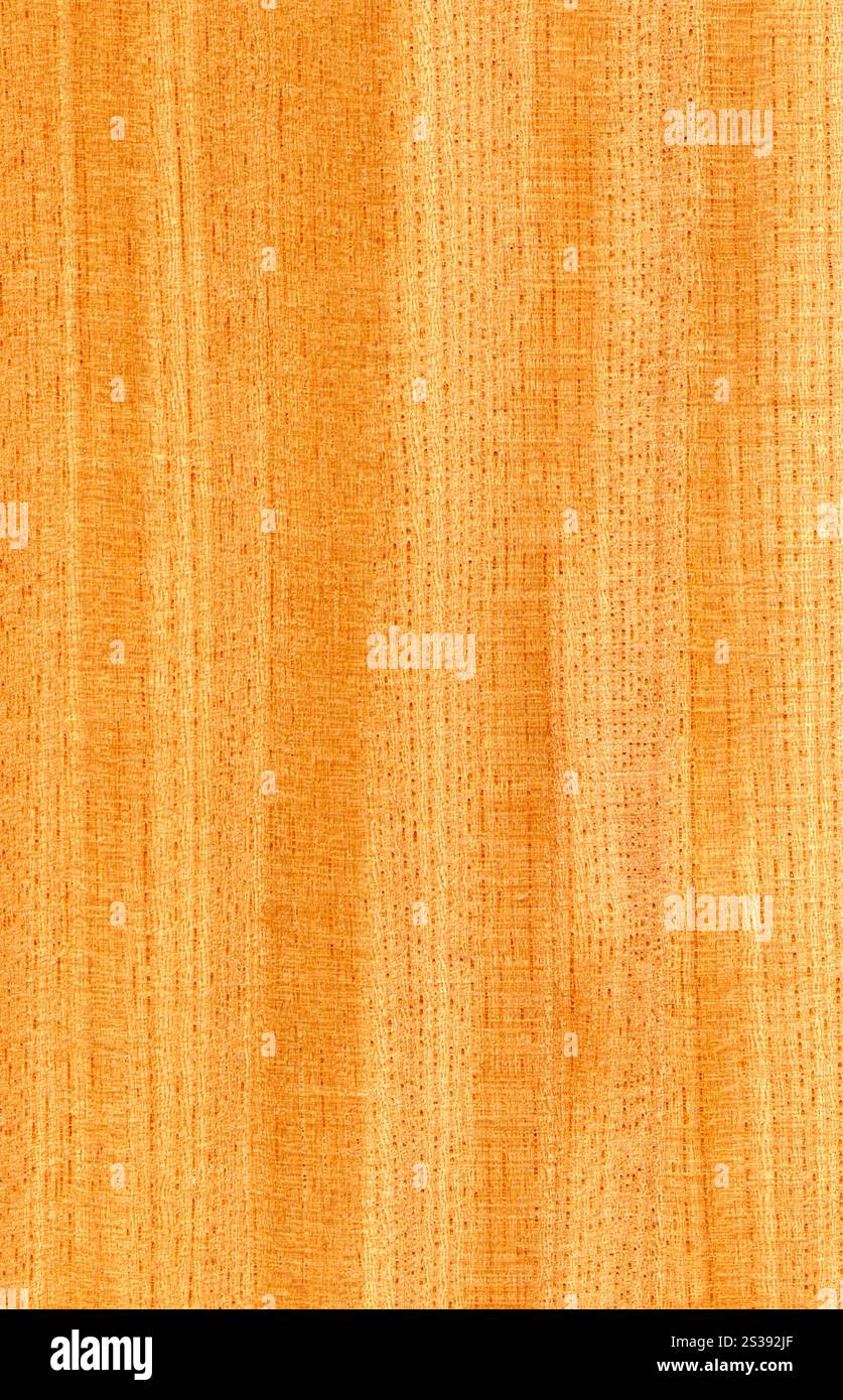 fondo o struttura in legno naturale. sfondo in legno naturale Foto Stock