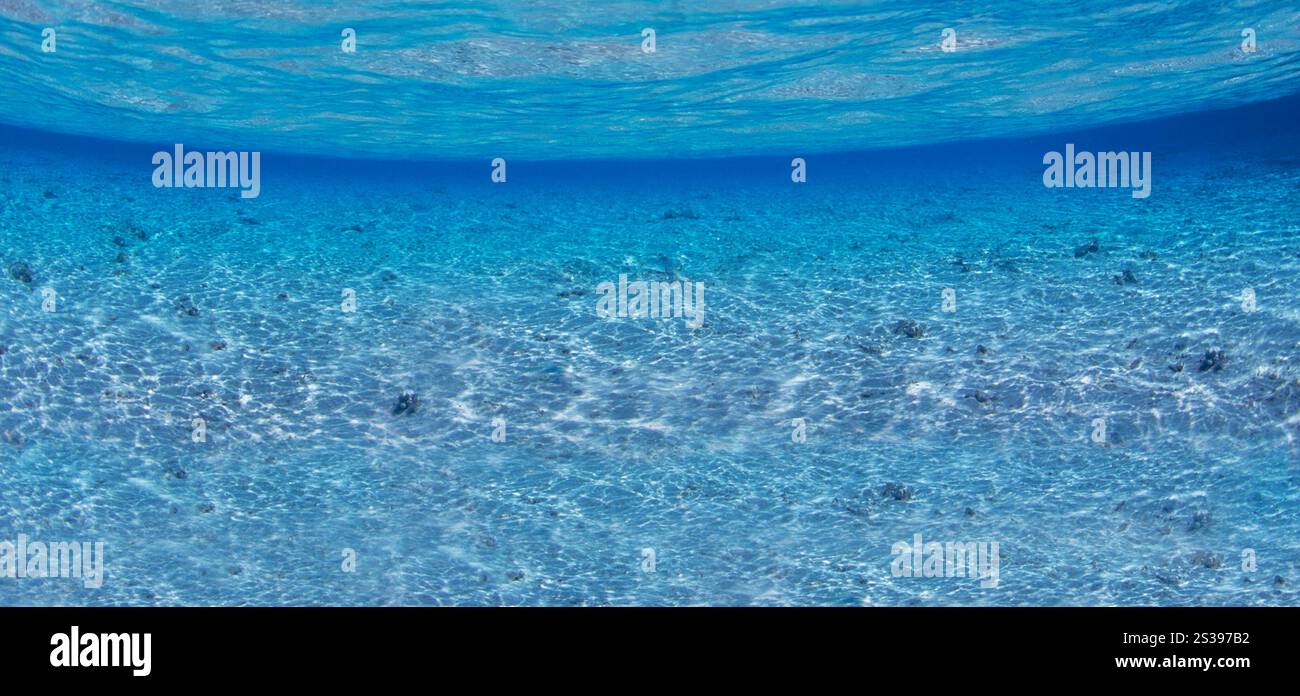 Superficie blu dell'oceano vista sott'acqua Foto Stock