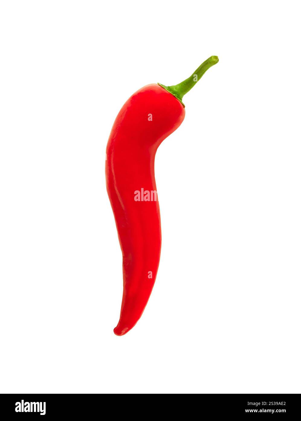 peperoncino rosso caldo isolato su fondo bianco. peperoncino rosso caldo isolato Foto Stock