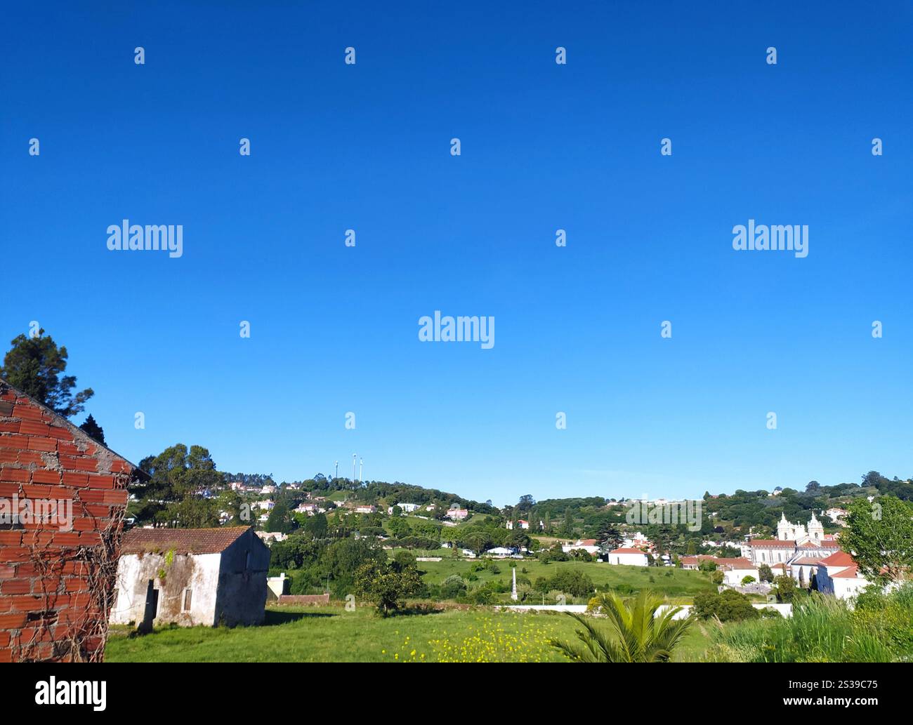 Un affascinante villaggio con tetti di tegole rosse è annidato tra lussureggianti colline verdi, sotto un cielo blu luminoso. La tranquilla vista della campagna cattura tutto Foto Stock