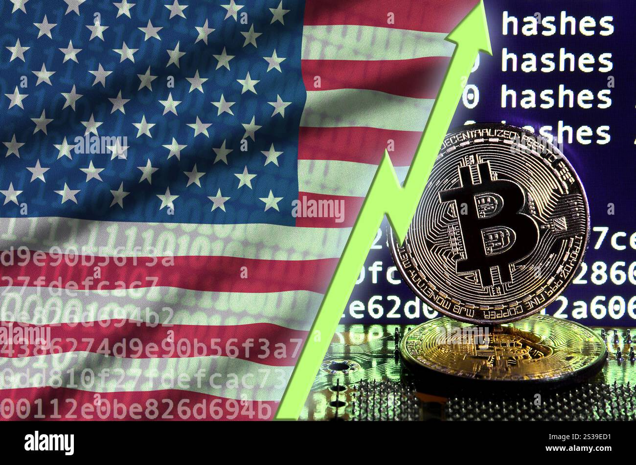 Bandiera degli Stati Uniti d'America e freccia verde in aumento sullo schermo minerario bitcoin e due bitcoin d'oro fisici. Concetto di elevata conversione in Foto Stock