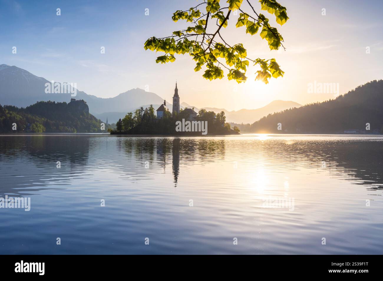 Vista dell'isola di Bled sul lago di Bled all'alba. Bled, alta Carniola, Slovenia. Foto Stock