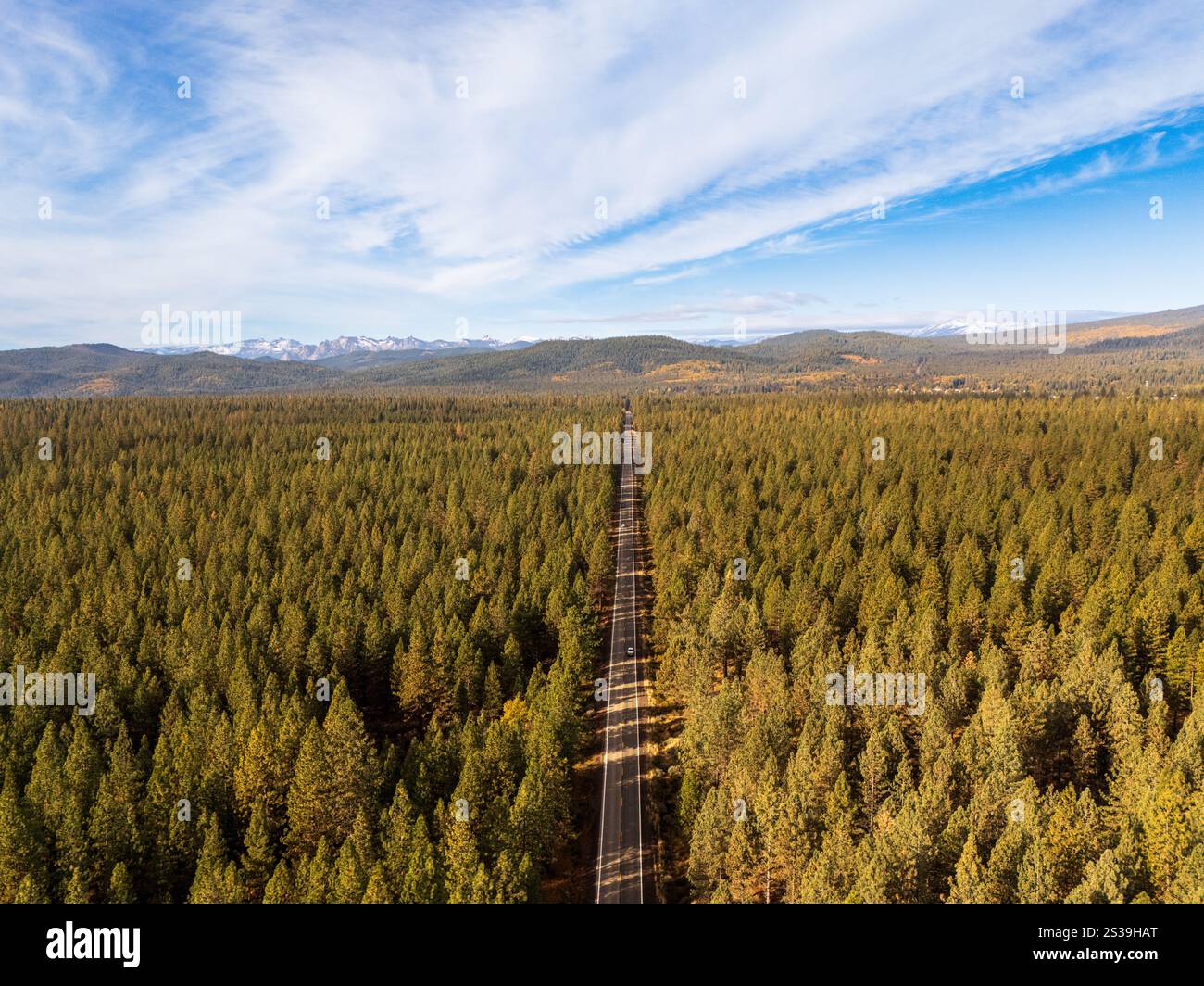 Strada in linea retta attraverso le foreste dell'Oregon, vista aerea, fine autunno Foto Stock