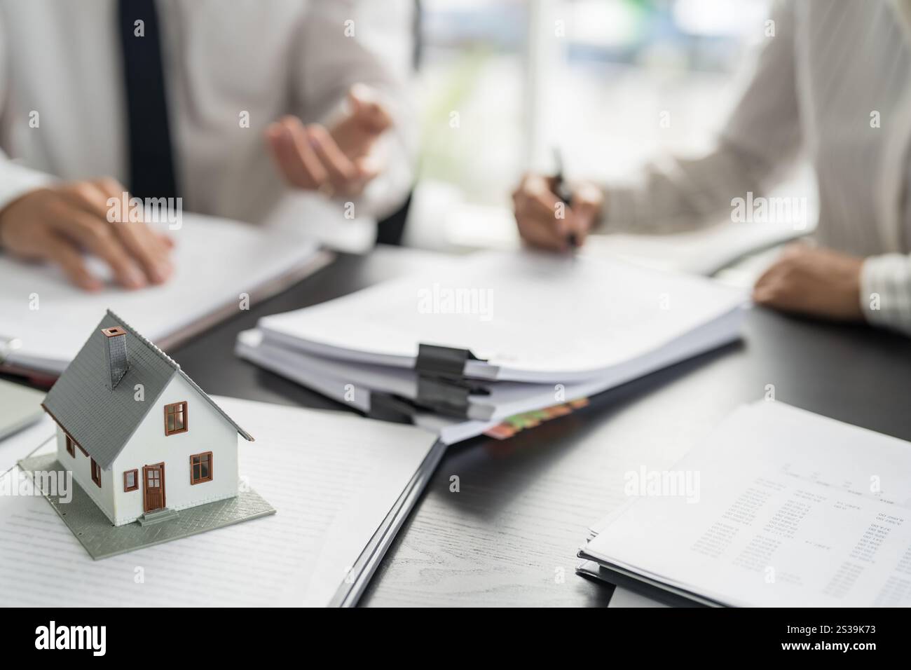 Documento del modulo di richiesta di consulenza da parte del responsabile vendite, considerando l'offerta di mutui ipotecari per l'assicurazione di auto e case. Investimenti immobiliari Foto Stock