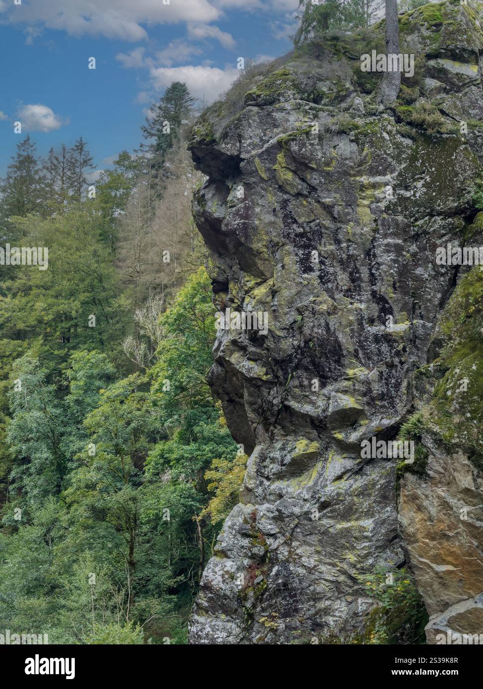 Formazione rocciosa che somiglia al paesaggio montagnoso boschivo cielo pomeridiano Foto Stock