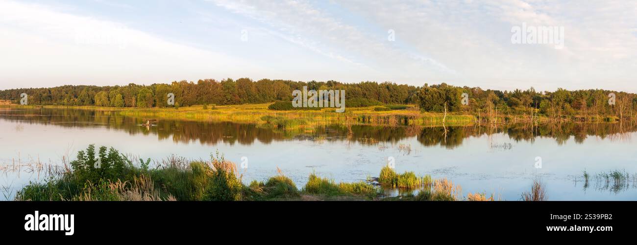 Sera Estate Lago di alta risoluzione paesaggio panoramico con piante riflessioni sulla superficie di acqua e foresta nel lontano. Fisherman irriconoscibile. Foto Stock