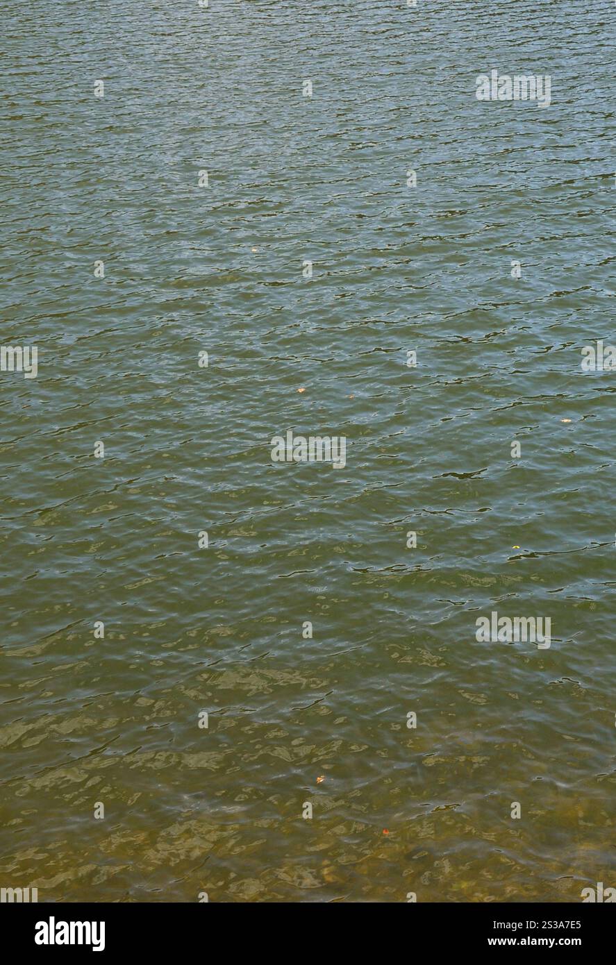 Texture di acqua di fiume contaminata. Le conseguenze delle fonti di inquinamento Foto Stock