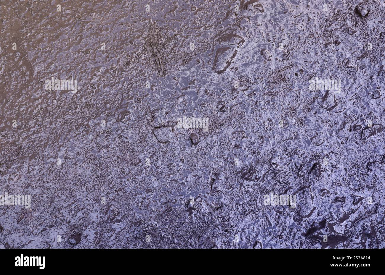 Primo piano di pozzanghere fangoso con piccole pietre sulla superficie bagnata. Trama di sfondo. Primo piano di pozzanghere fangoso con piccole pietre sulla superficie bagnata. Sfondo Foto Stock