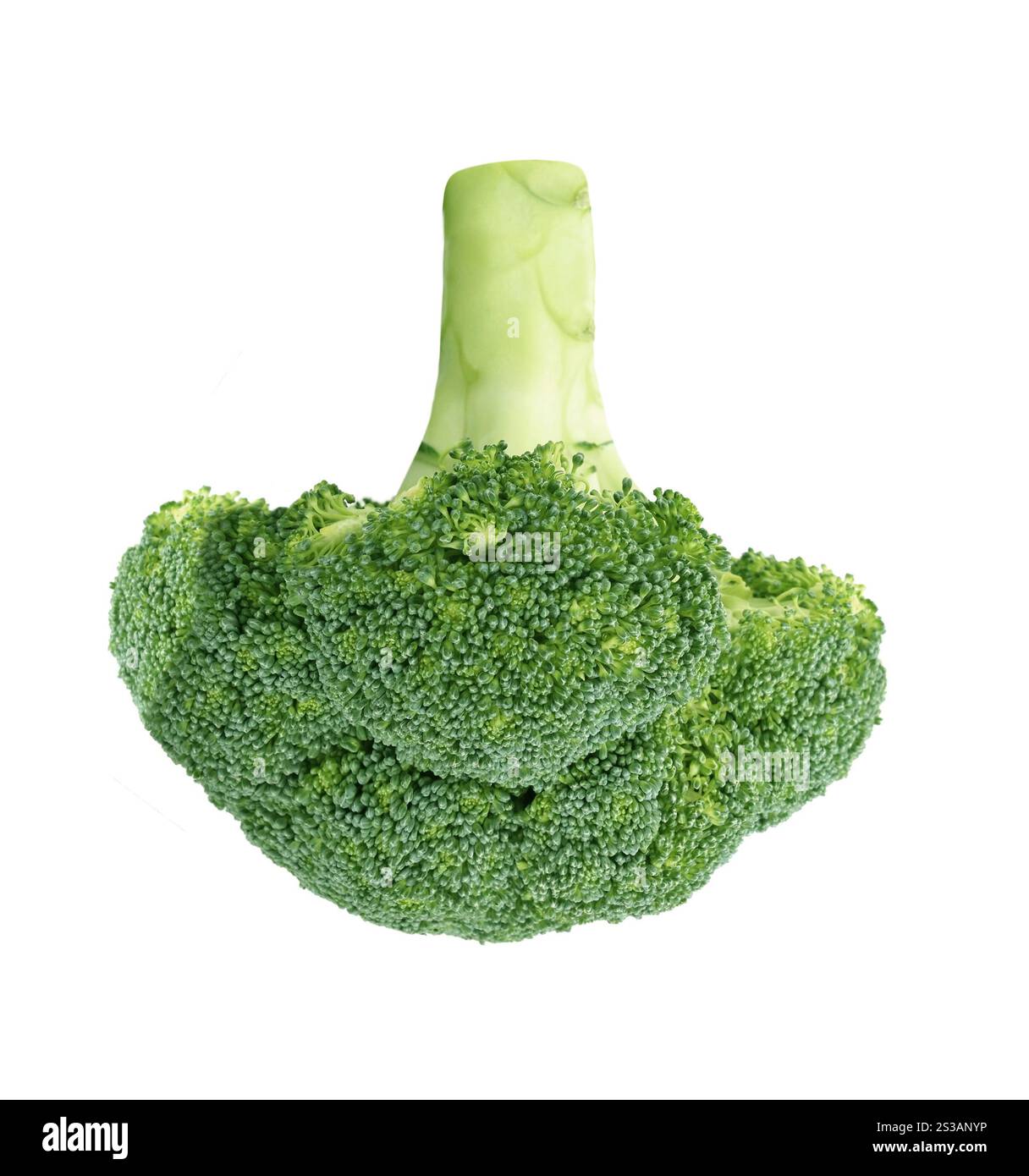 Broccoli crudi freschi isolati su sfondo bianco. Broccoli crudi freschi isolati su bianco Foto Stock