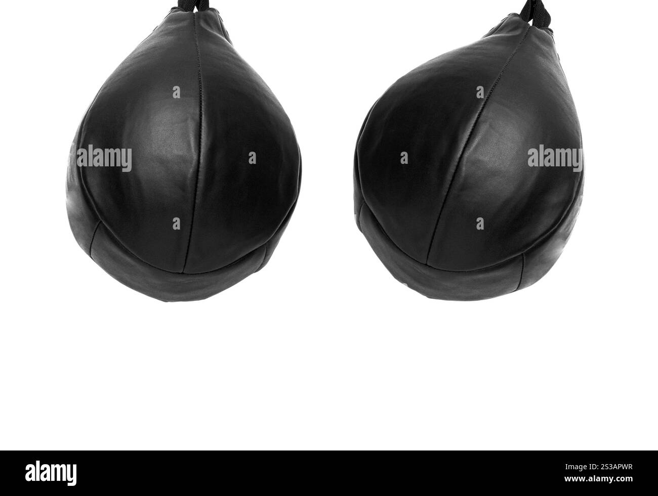 Pera Boxer nera su sfondo bianco. Pera del Boxer nero Foto Stock