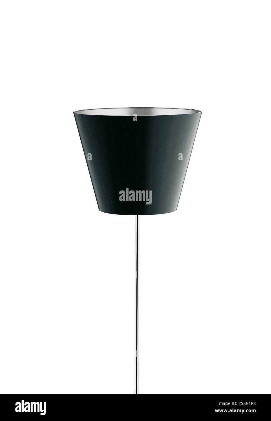 piantana isolata su sfondo bianco. piantana isolata Foto Stock