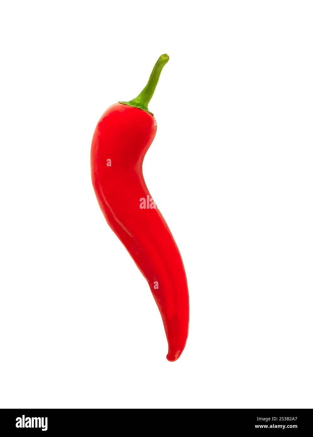 peperoncino rosso caldo isolato su fondo bianco. peperoncino rosso caldo isolato Foto Stock