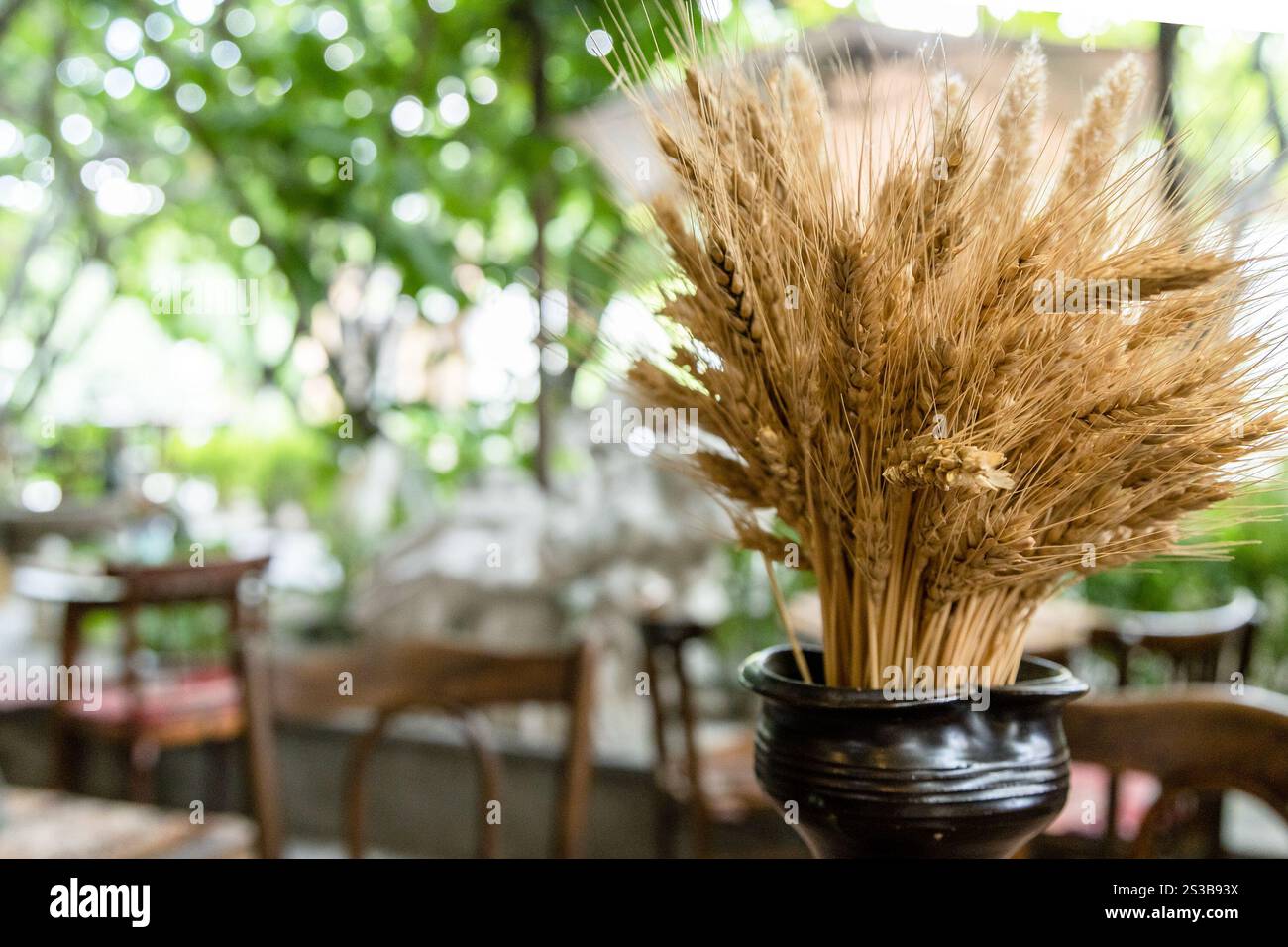 Un pezzo di frumento giallo maturo in una caraffa ravvicinata in un caffè locale nella città di Erevan, Armenia Foto Stock