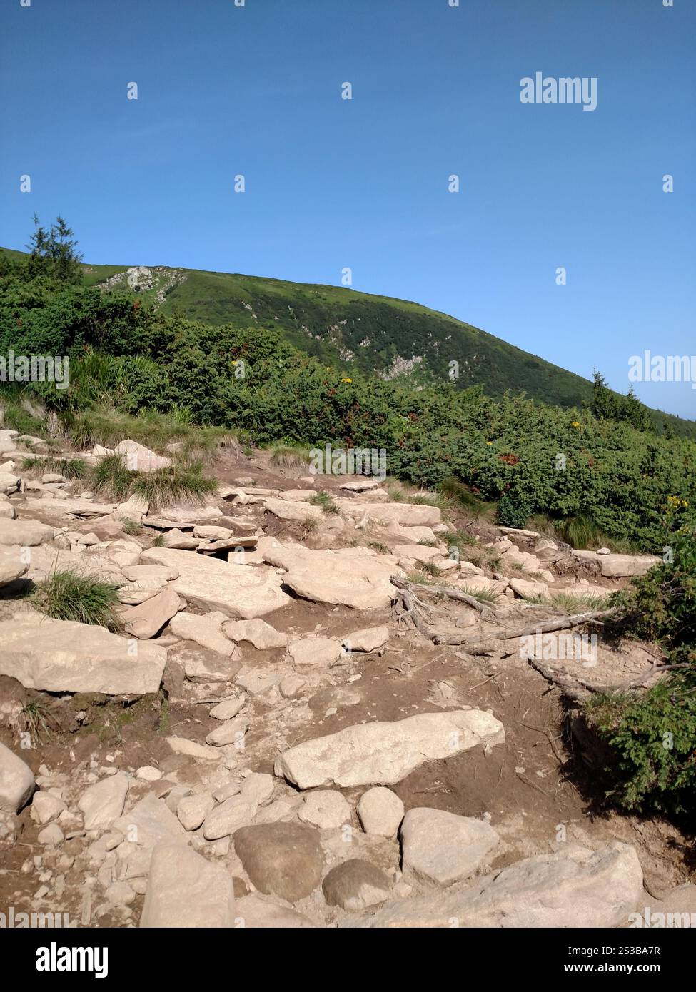 Immagine fotografica verticale a colori di paesaggio montano e foresta Foto Stock