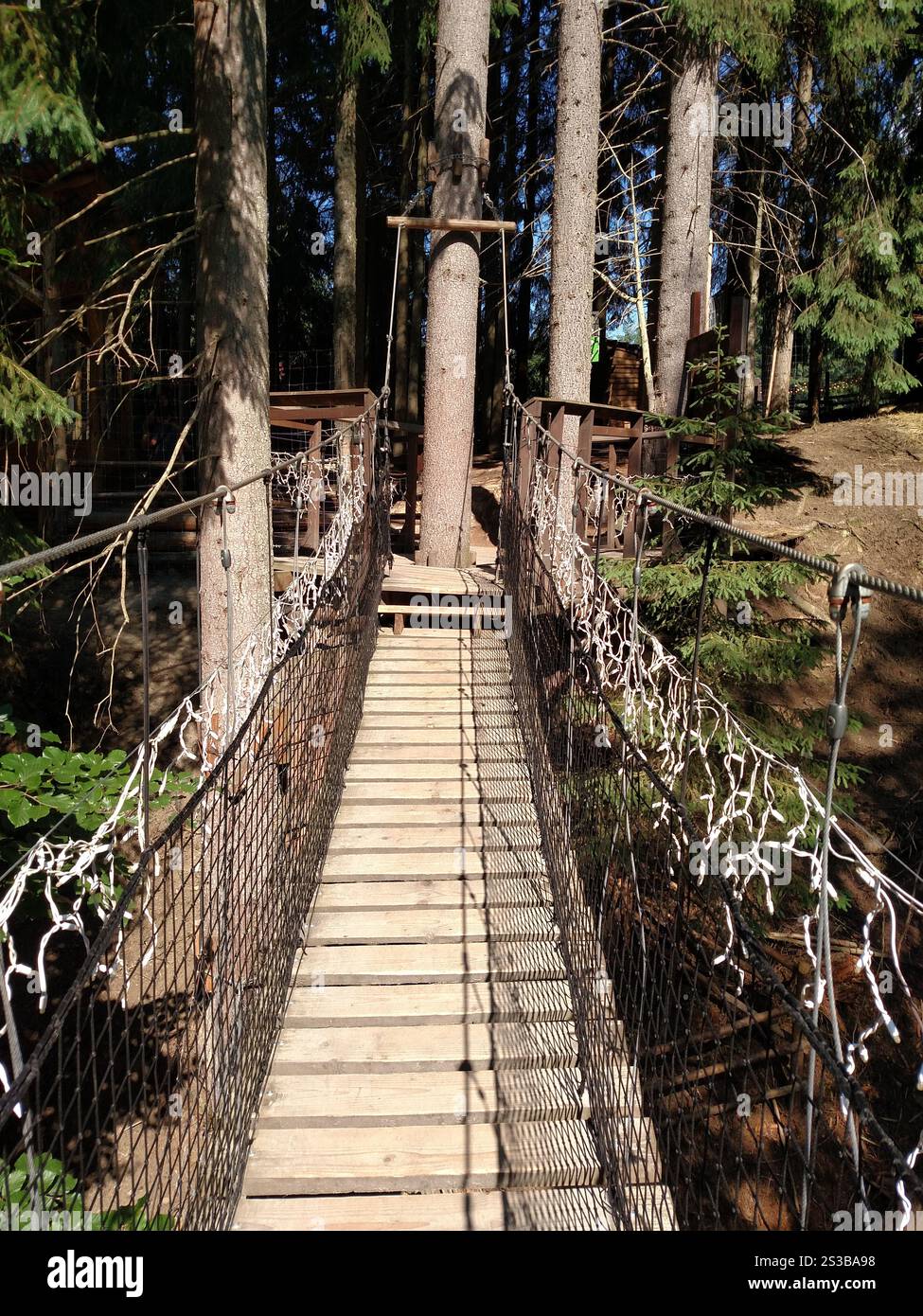Ponte sospeso fune pedonale flessibile stretto vuoto in verticale forestale Foto Stock