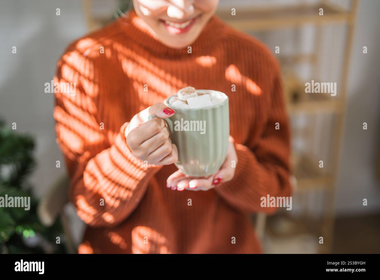 Donna che regge una tazza di cacao aromatico con marshmallow. La vigilia di Natale con una tazza di gustosa cioccolata calda atmosfera accogliente per le vacanze a casa. Foto Stock