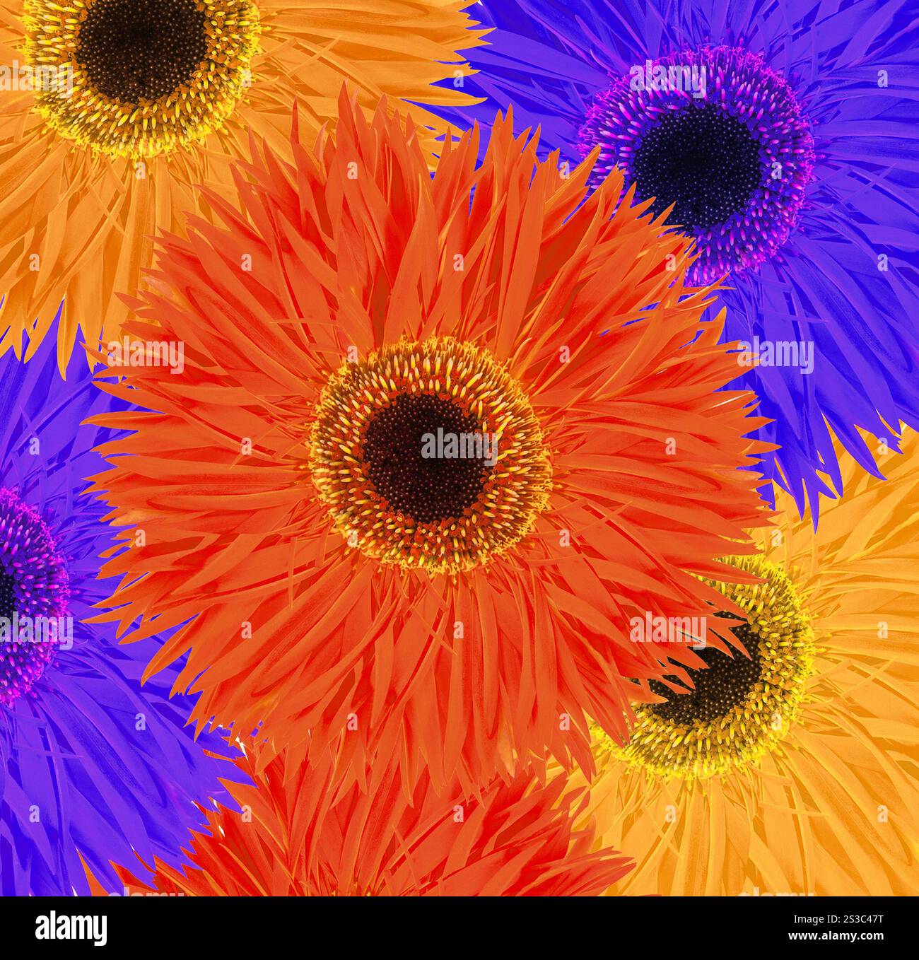 collage con fiori colorati sullo sfondo. collage con fiori colorati Foto Stock