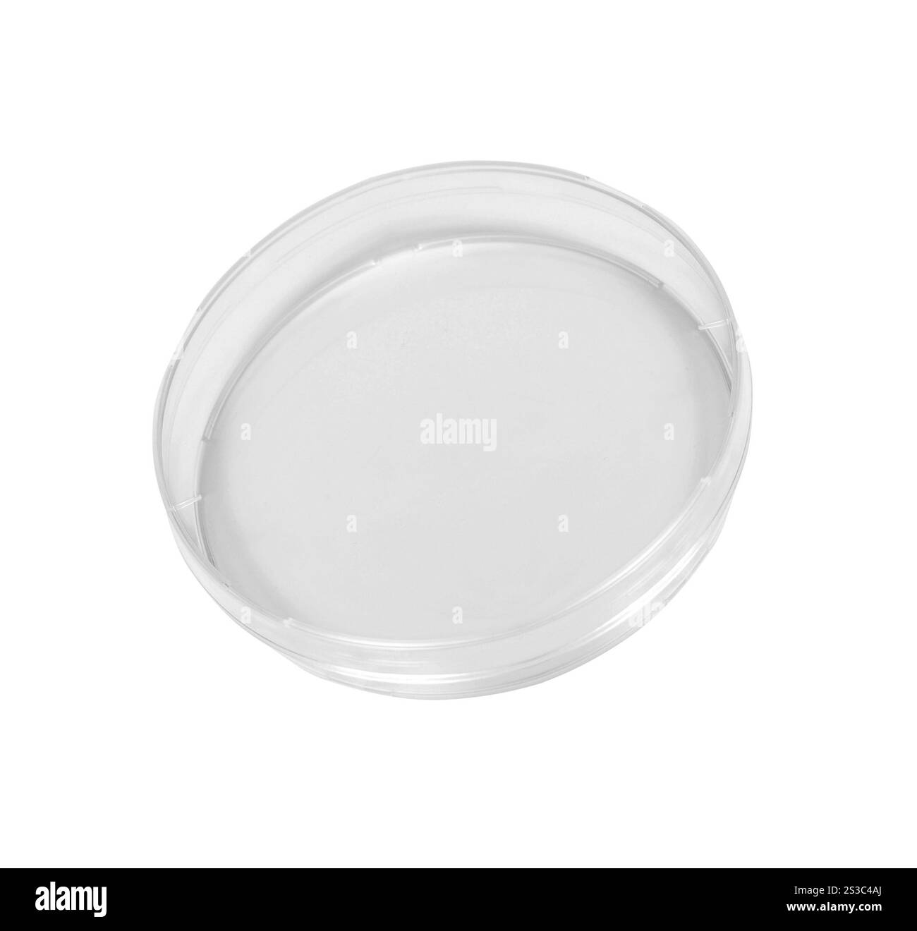 Piastra di petri isolato su bianco Foto Stock