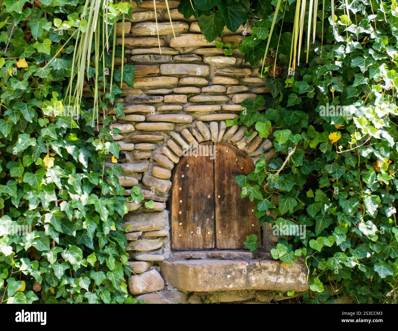 edera verde su stufa Foto Stock