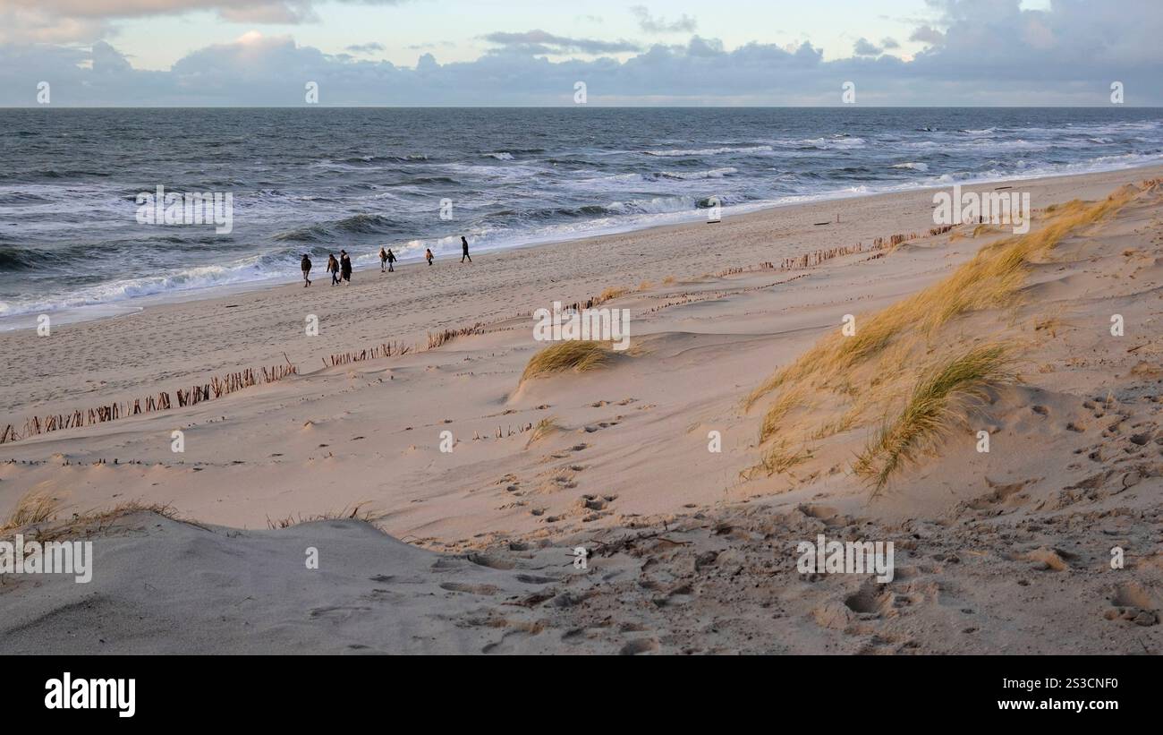 Weststrand Hörnum auf der Insel Sylt, der kilometerlange Dünenstrand ist ein Markenzeichen der nördlichsten Insel Deutschlands 04.01.25 Foto Stock