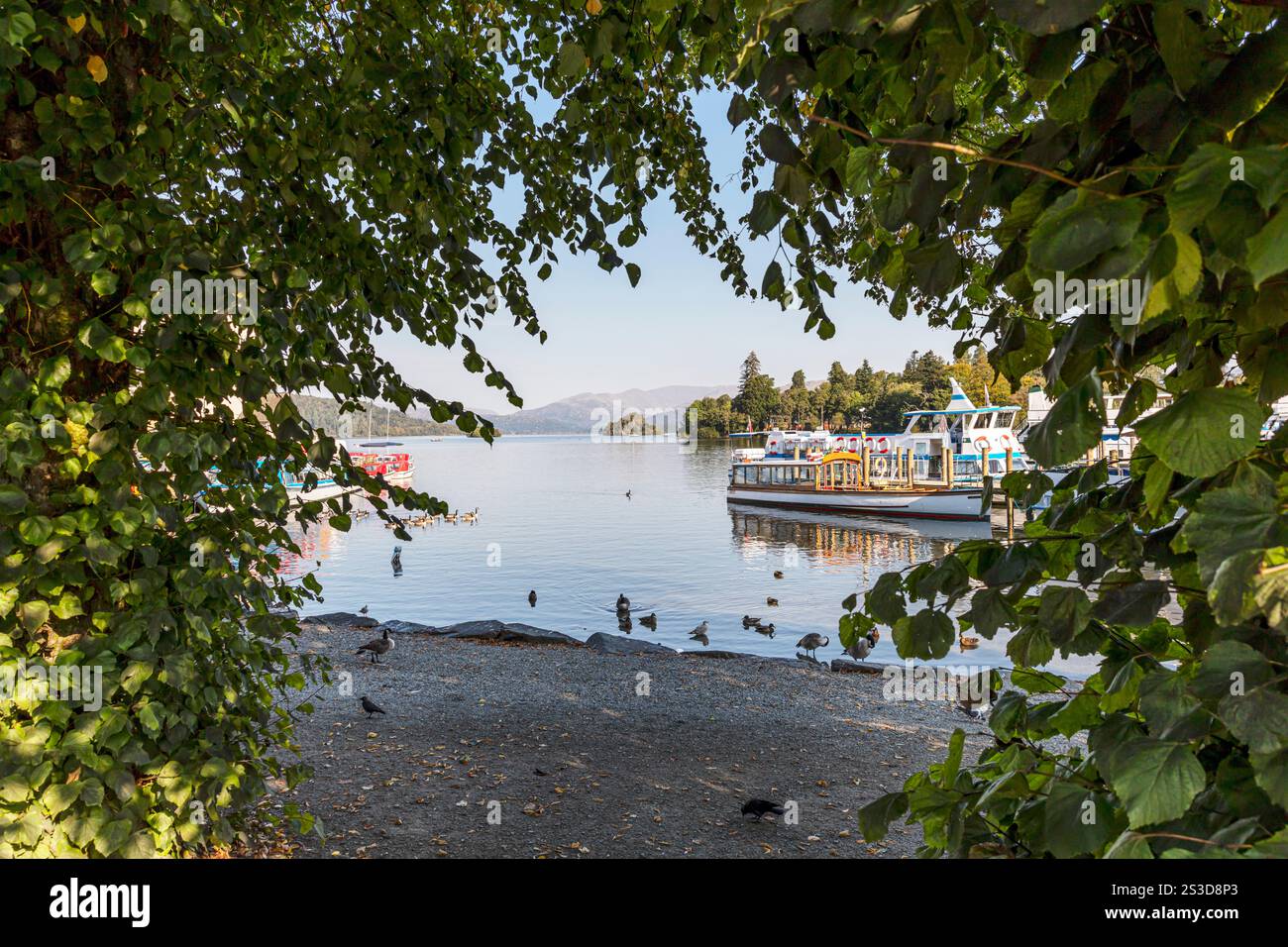 Bowness on Windermere, Lake Windermere, Cumbria, Regno Unito, Inghilterra, Windermere, Windermere UK, Windermere Lake, Windermere Cumbia, Lake, distretto dei laghi Foto Stock