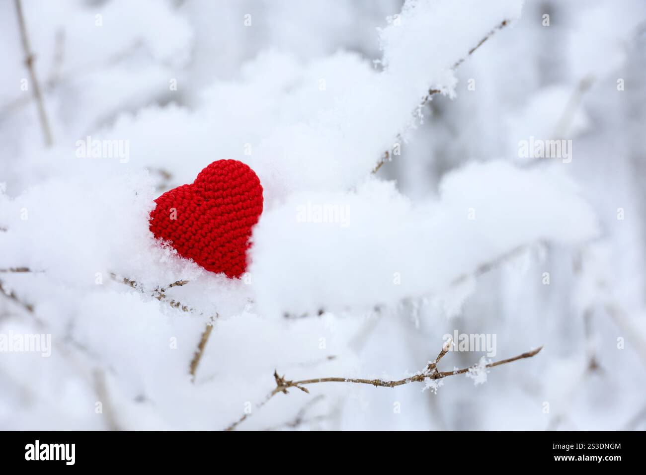 Cuore rosso lavorato a maglia su ramo di albero coperto di neve nella foresta invernale. Simbolo dell'amore romantico, il biglietto di San Valentino Foto Stock