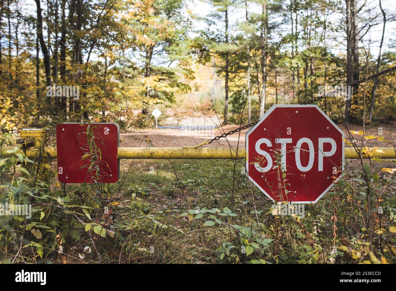 Segnale di stop Gate blocking Road in autunno Foto Stock