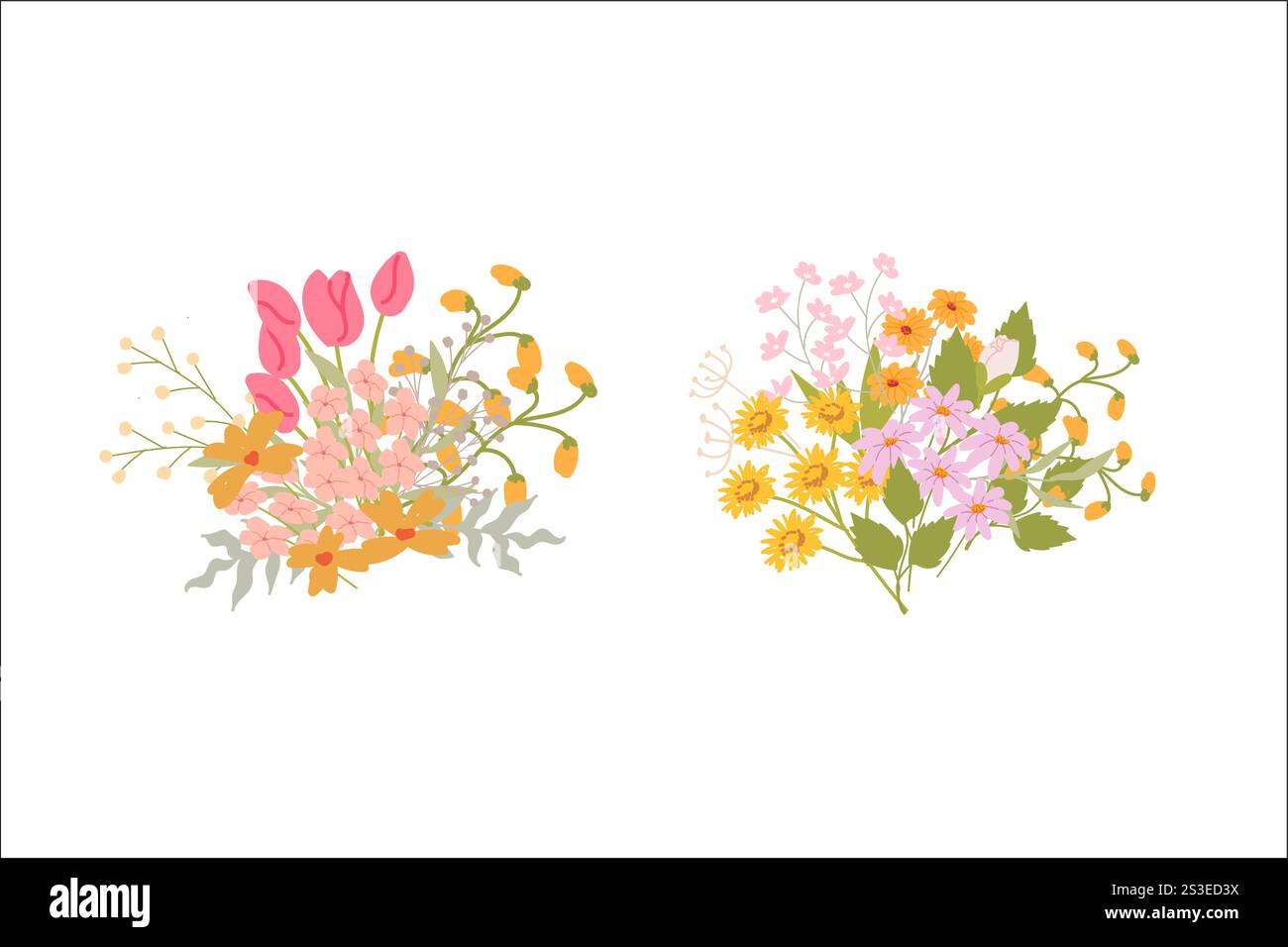 Colorate composizioni floreali con fiori rosa e gialle su sfondo bianco. Illustrazione Vettoriale