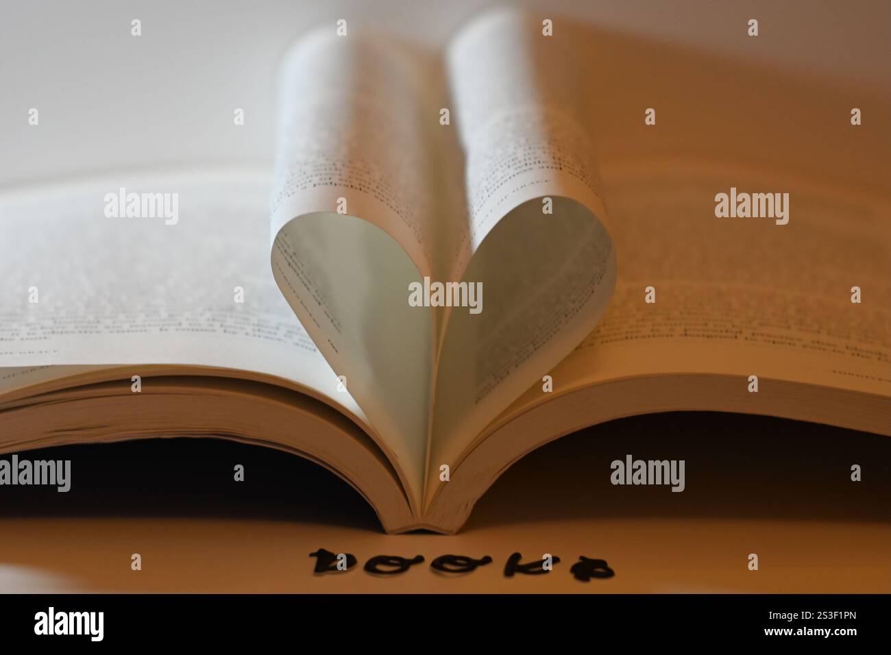 il concetto di "amante dei libri", la lettura e l'amore per i libri Foto Stock