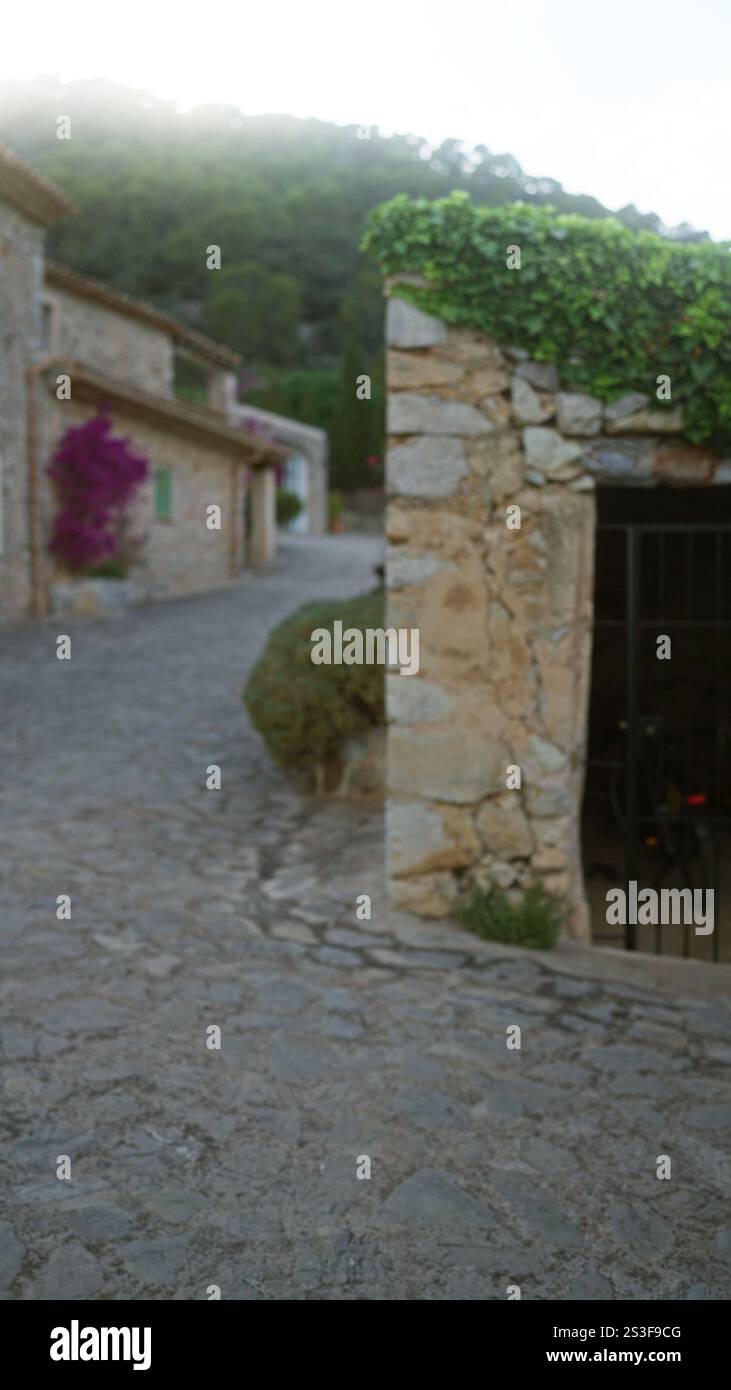 Sfocata scena all'aperto a maiorca, spagna, con edifici in pietra e lussureggianti piante su una strada asfaltata all'alba o al tramonto. Foto Stock
