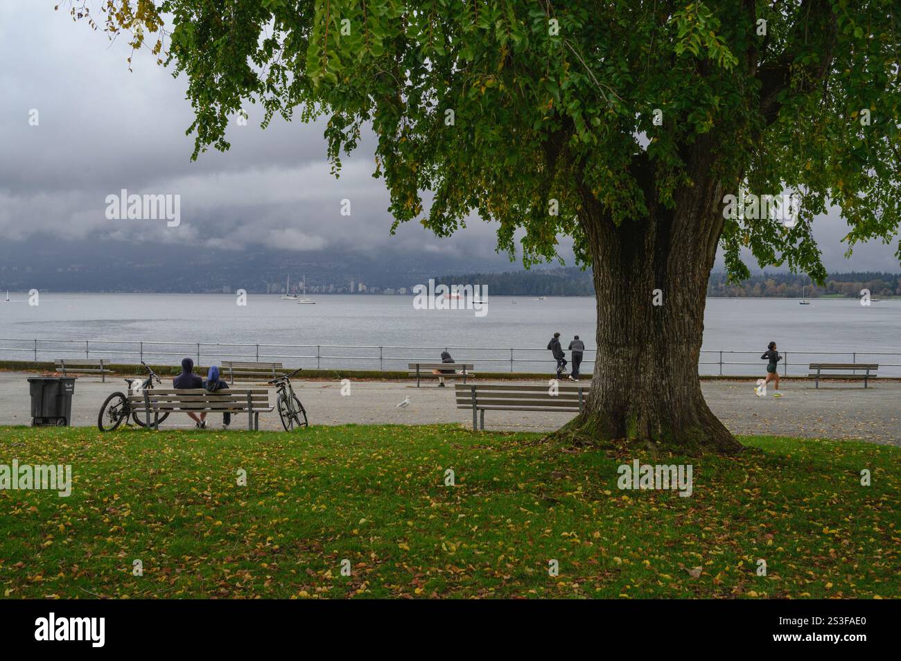 Kitsilano Beach, Vancouver, British Columbia, Canada Foto Stock