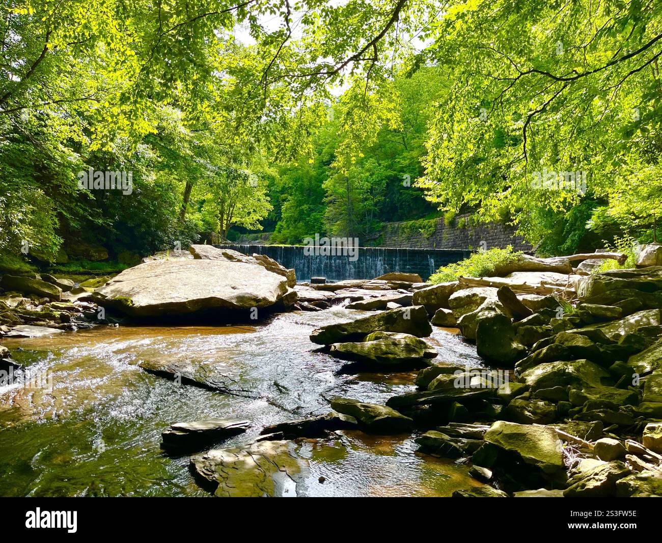 L'acqua scorre sopra una cascata artificiale al Babcock State Park in West Virginia, USA - Immagine stock catturata con smartphone
