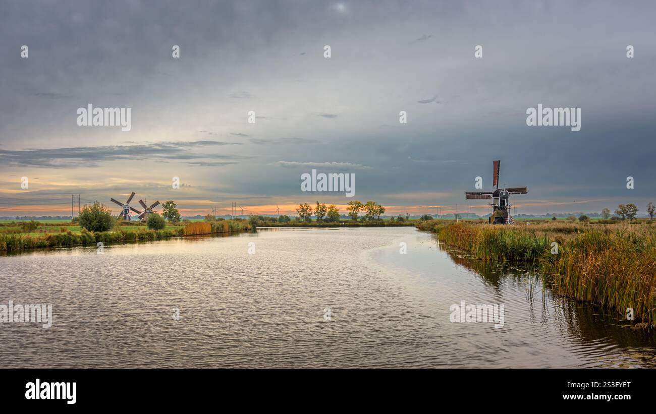 Paesaggio olandese di polder autunnale all'alba con fiume e mulini Foto Stock