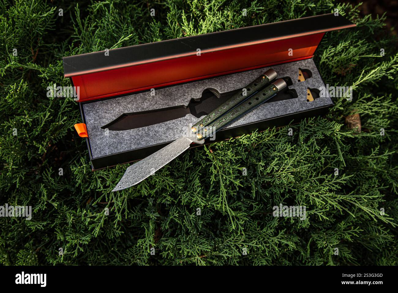 Un coltello a farfalla splendidamente realizzato con una lama a motivi geometrici e un manico verde, esposto in un'elegante scatola con un inserto in schiuma, sullo sfondo Foto Stock
